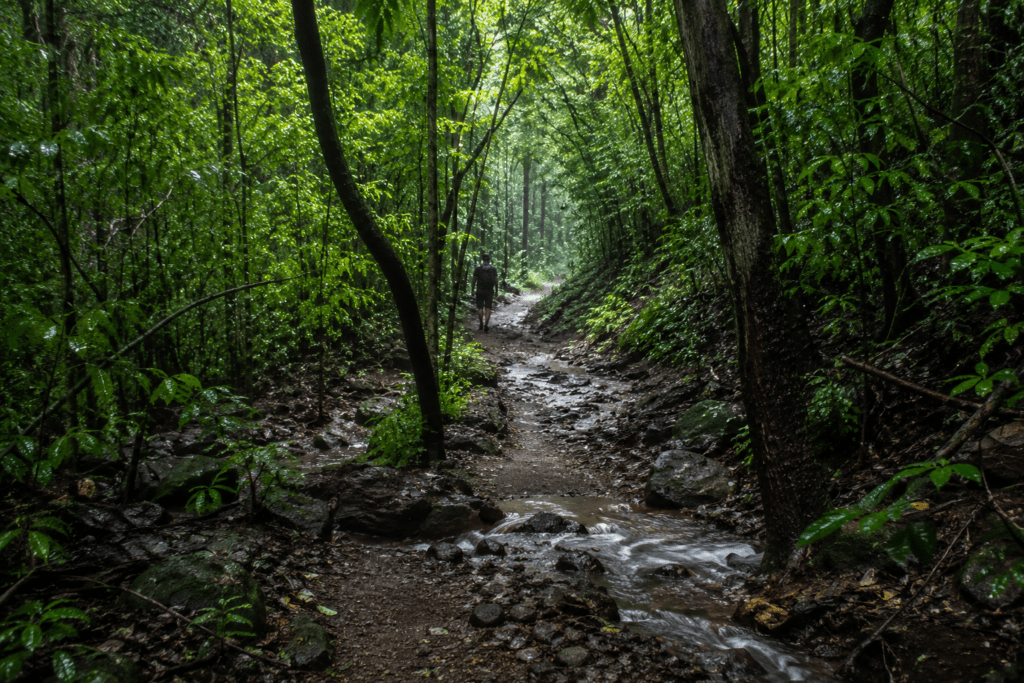 Dugarwadi trail - Maharashtra Monsoon waterfalls guide 2026