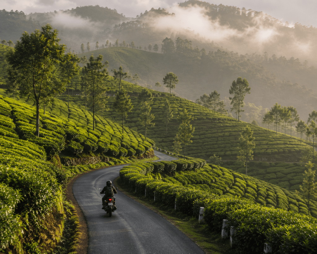 Munnar tea plantation road - Indias Greatest Roads to ride travel guide 2026